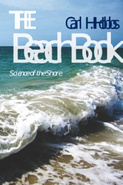 The Beach Book