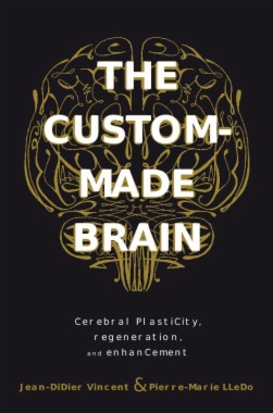 The Custom-Made Brain