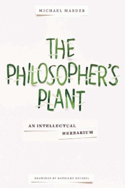 The Philosopher's Plant