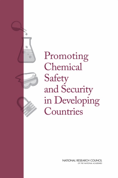 Promoting Chemical Laboratory Safety and Security in Developing Countries