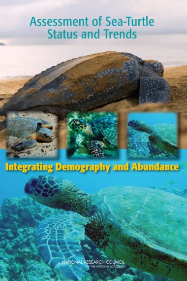 Assessment of Sea-Turtle Status and Trends