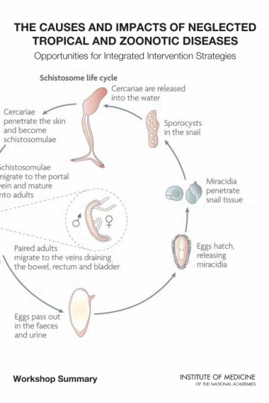 The Causes and Impacts of Neglected Tropical and Zoonotic Diseases