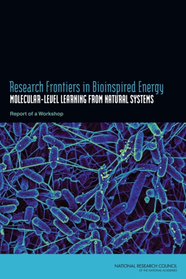 Research Frontiers in Bioinspired Energy