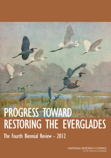 Progress Toward Restoring the Everglades