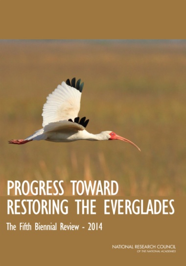 Progress Toward Restoring the Everglades