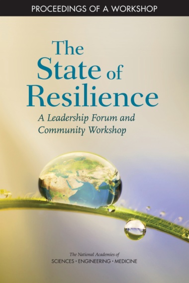 The State of Resilience