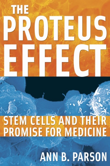 The Proteus Effect