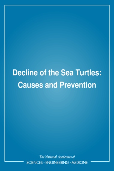 Decline of the Sea Turtles