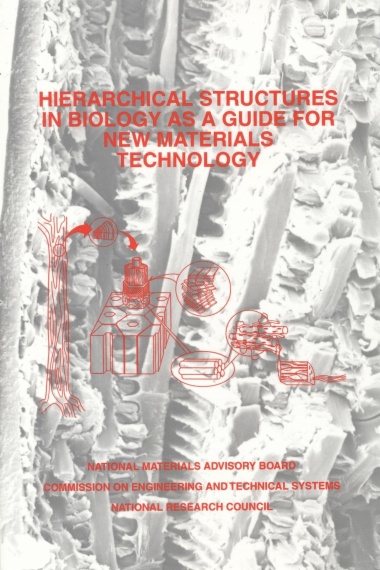 Hierarchical Structures in Biology as a Guide for New Materials Technology