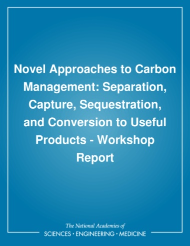 Novel Approaches to Carbon Management