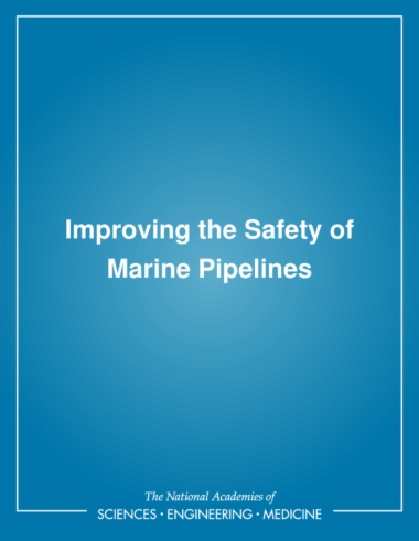 Improving the Safety of Marine Pipelines