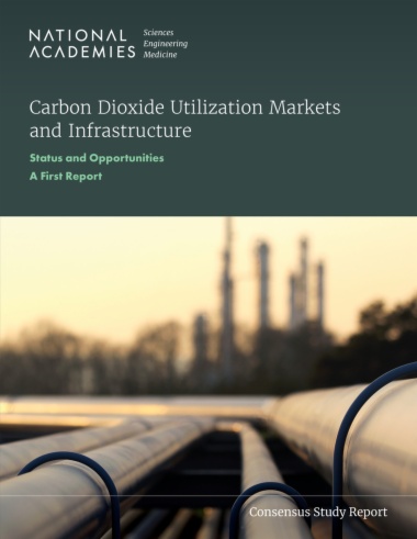 Carbon Dioxide Utilization Markets and Infrastructure