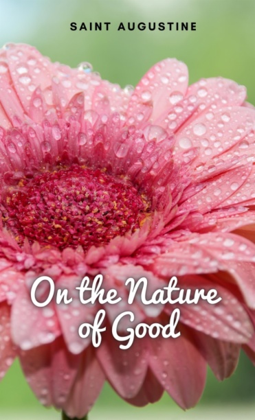 On the Nature of Good