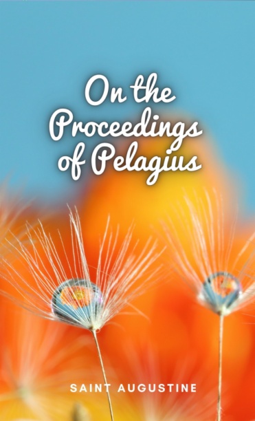 On the Proceedings of Pelagius