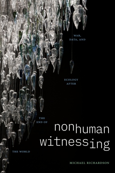 Nonhuman Witnessing