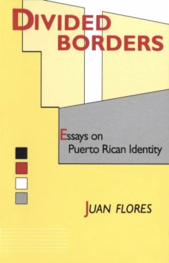 Divided Borders : Essays on Puerto Rican Identity