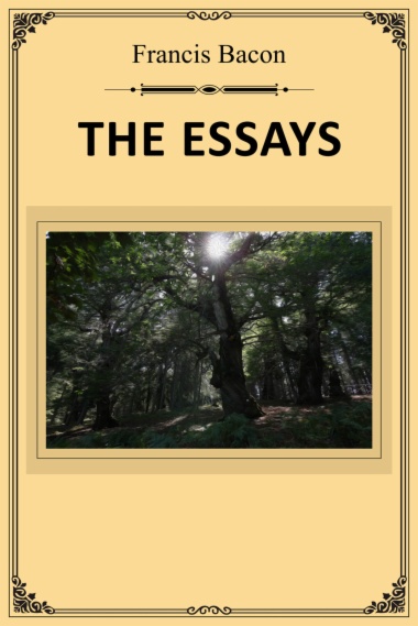 The Essays