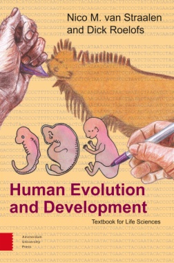 Human Evolution and Development