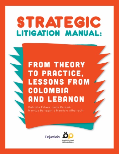 Strategic Litigation Manual