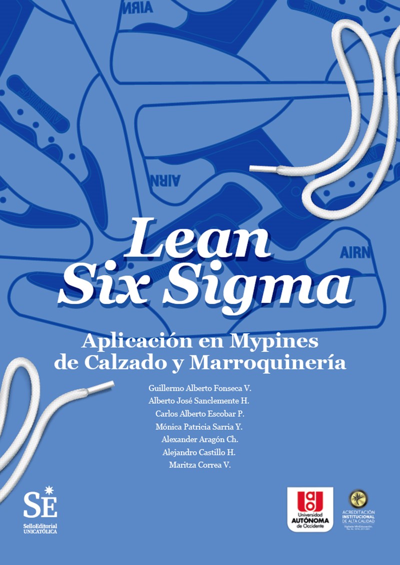 Lean Six Sigma. Aplicación en mipymes de calzado y marroquinería