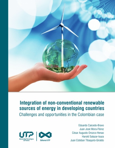 Integration of non-conventional renewable sources of energy in developing countries