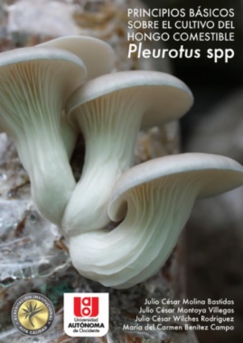 Principios básicos sobre el cultivo del hongo comestible Pleurotus spp