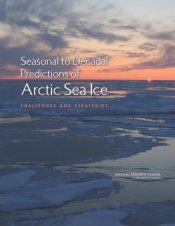 Seasonal to Decadal Predictions of Arctic Sea Ice