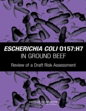 Escherichia coli O157:H7 in Ground Beef