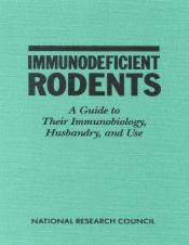 Immunodeficient Rodents