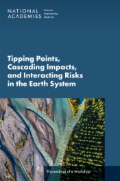 Tipping Points, Cascading Impacts, and Interacting Risks in the Earth System