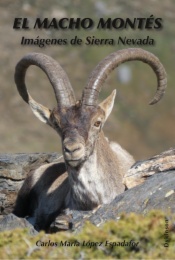 El macho montés