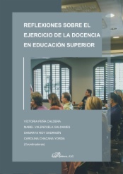 Reflexiones sobre el ejercicio de la docencia en Educación Superior