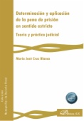 Determinación y aplicación de la pena de prisión en sentido estricto