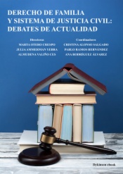 Derecho de familia y sistema de justicia civil: debates de actualidad
