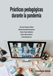 Prácticas pedagógicas durante la pandemia