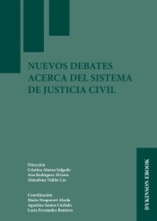 Nuevos debates acerca del sistema de justicia civil
