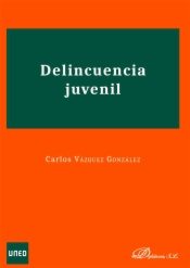 Delincuencia juvenil