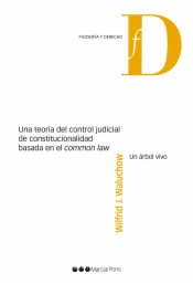 Una teoría del control judicial de constitucionalidad basada en el 