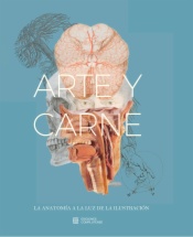 Arte y Carne. La anatomía a la luz de la Ilustración