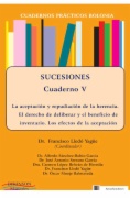 Sucesiones. Cuadernos prácticos Bolonia V : la aceptación y repudiación de la herencia: el derecho de deliberar y el beneficio de inventario. Los efectos de la aceptación