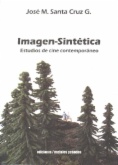 Imagen sintética: Estudios de cine contemporáneo