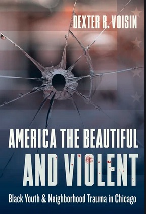 America the Beautiful and Violent