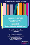 Derechos reales. Cuaderno VII: Derecho inmobiliario registral